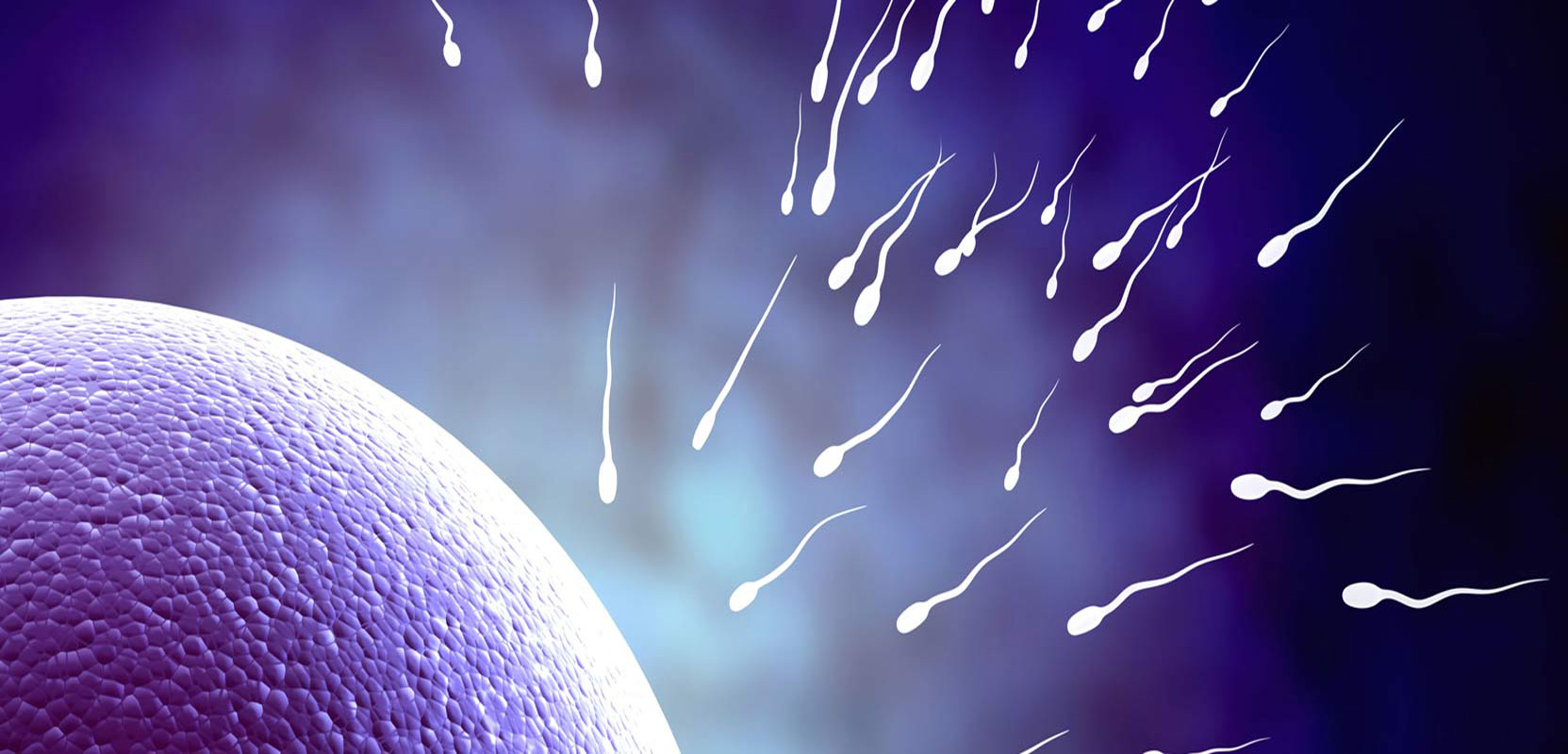 liquido seminale scarso e denso La qualità dello sperma diminuisce con l'avanzare dell'età?